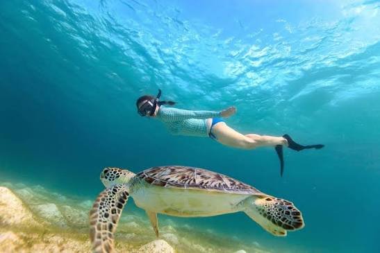 Snorkeller swimming with a sea turtle off Sri Lanka's south coast