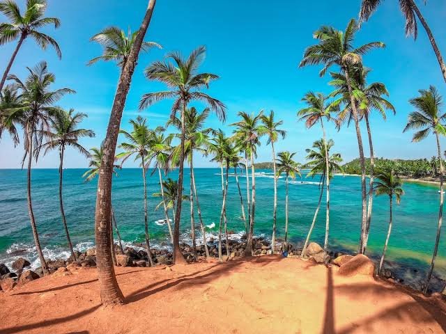 Coconut Tree Hill in Mirissa
