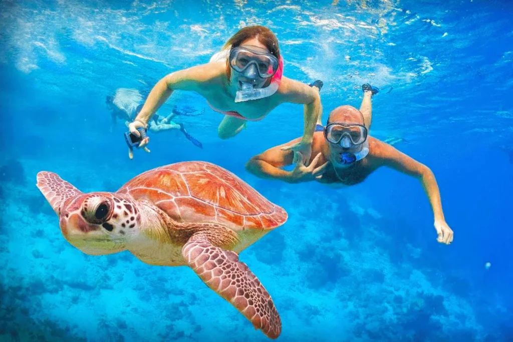 Two snorkellers with a sea turtle in clear blue water