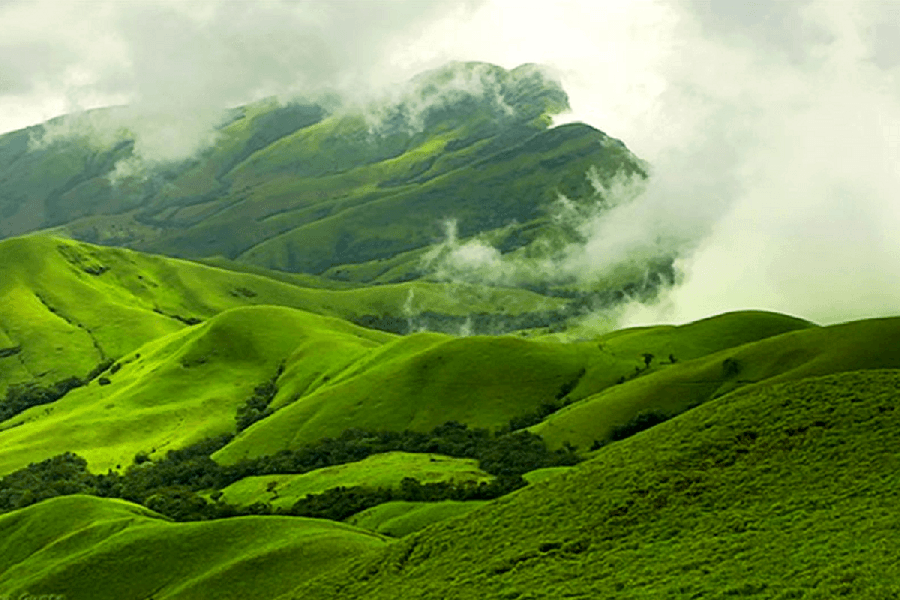 Misty green hills near Nuwara Eliya