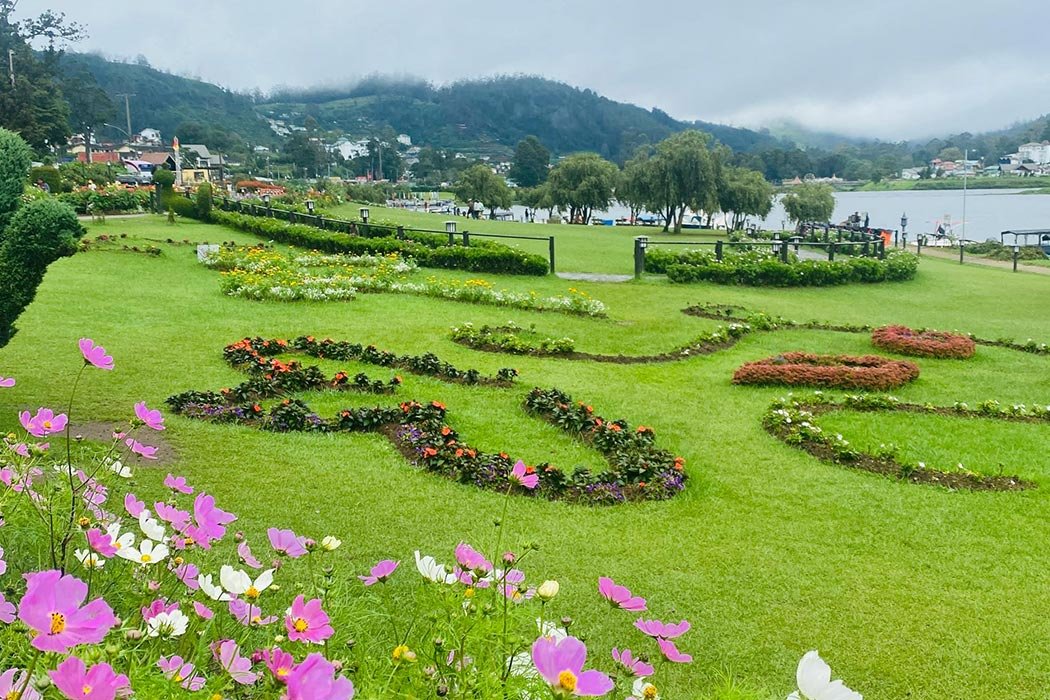 Flower gardens in Nuwara Eliya