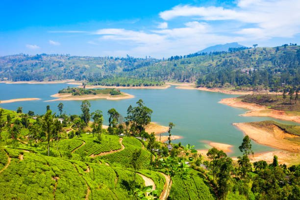 Tea estate and reservoir in the hills near Nuwara Eliya