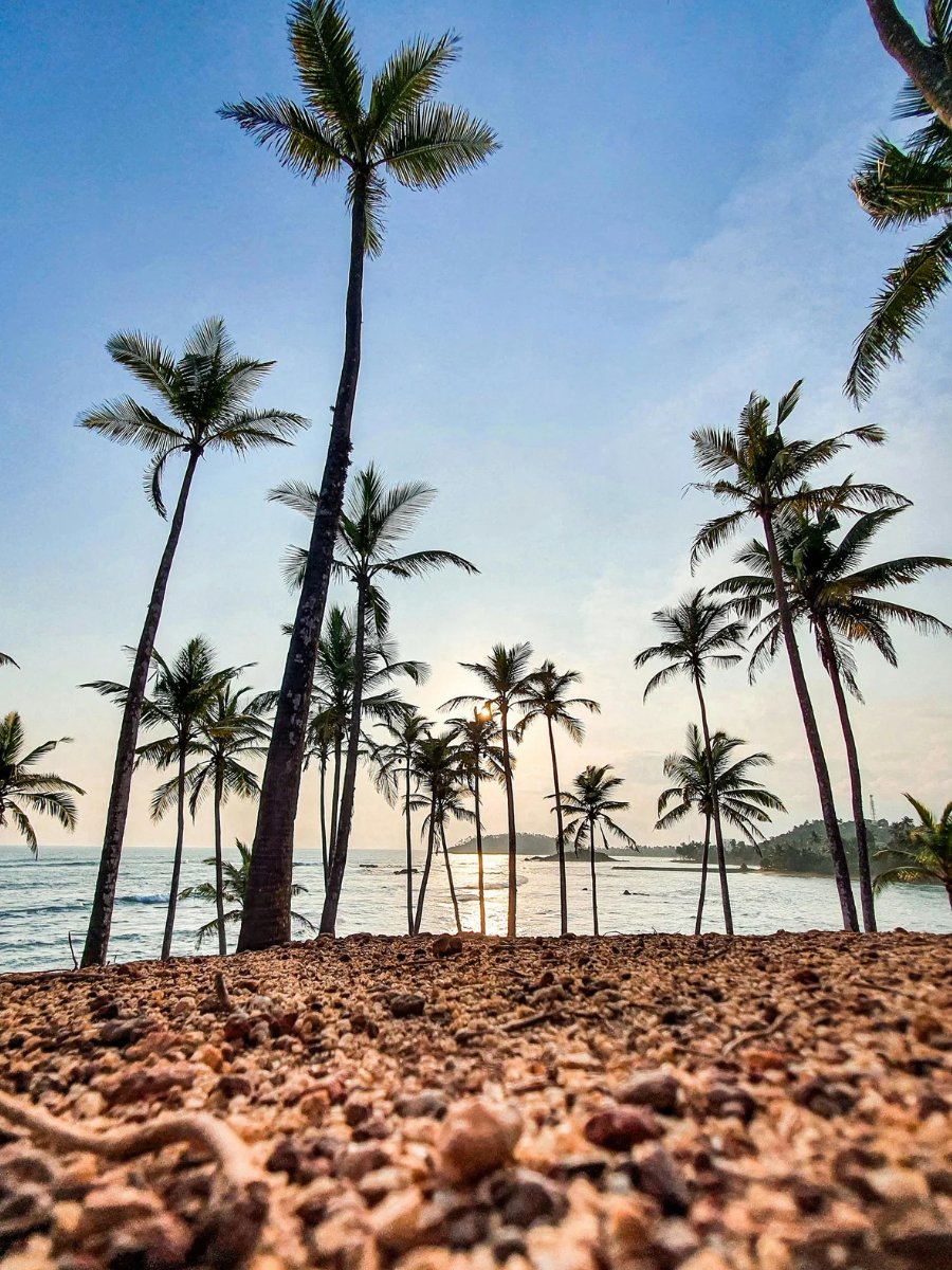 Sri Lanka travel experience