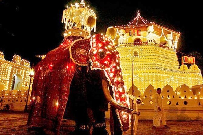 Decorated elephant at the Kandy Esala Perahera festival