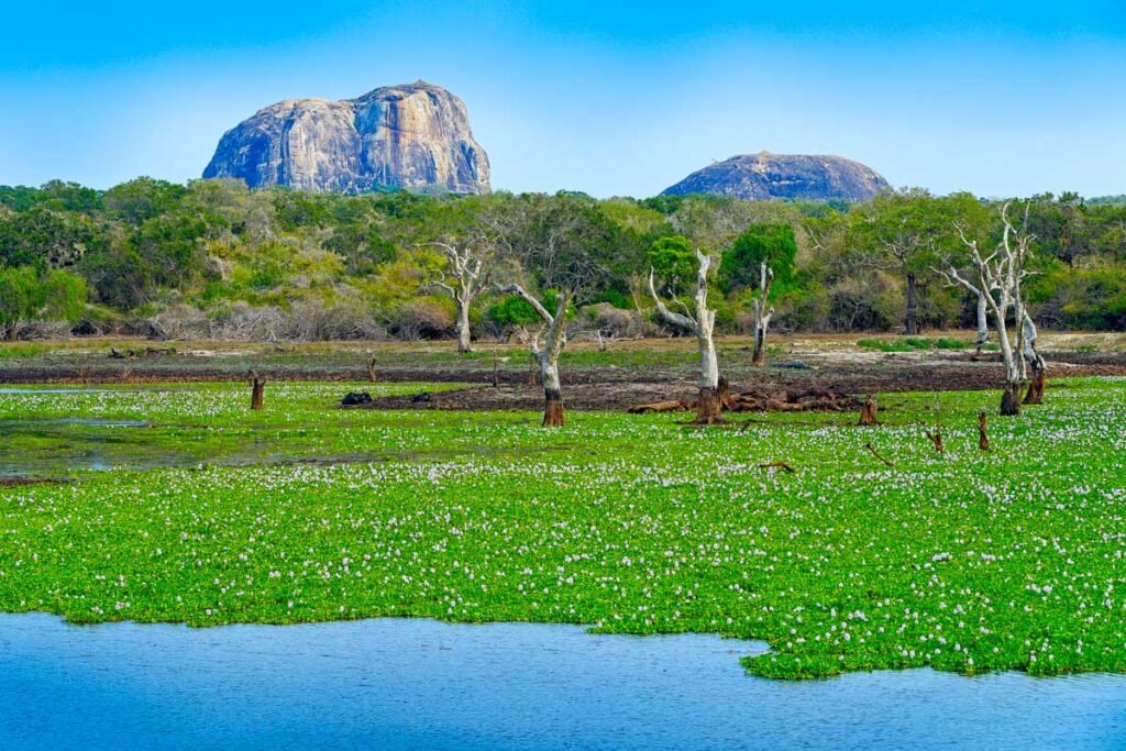 Lake and rock outcrops in Yala National Park