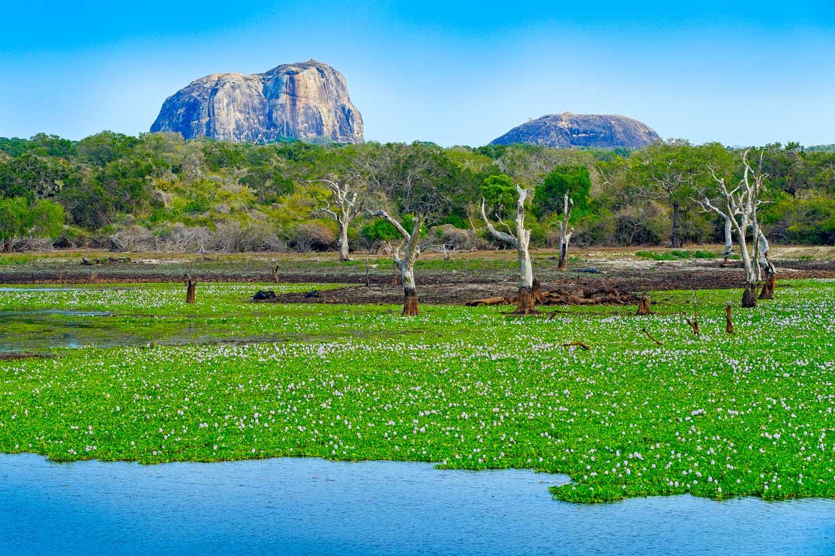 Lake and rock outcrops in Yala National Park